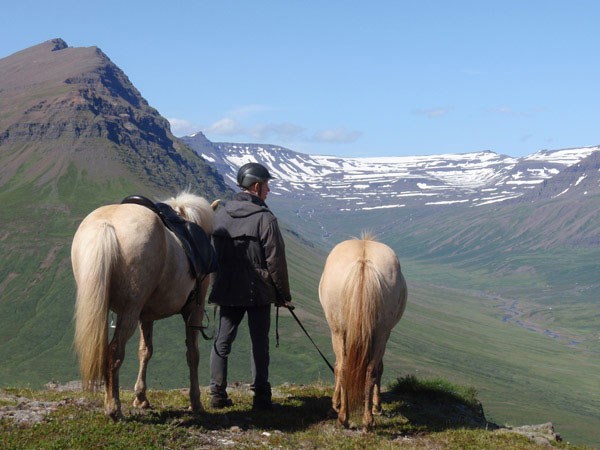 Horse Riding in Neskaupstadur